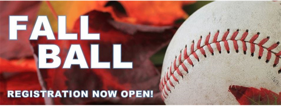 baseball near me youth