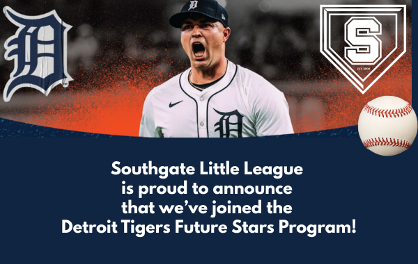 The Detroit Tigers Future Stars Program!